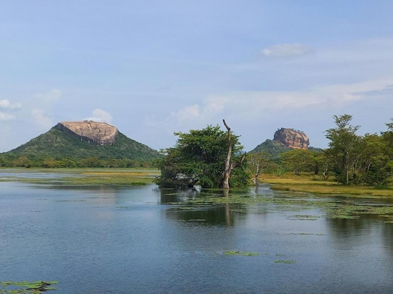 Sigiriya Ranasinghe Nature Villa Exterior photo